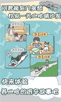 養(yǎng)只二哈不容易截圖欣賞