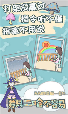 養(yǎng)只二哈不容易