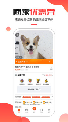 寵小寶截圖欣賞