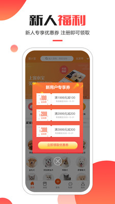 寵小寶