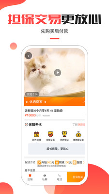寵小寶