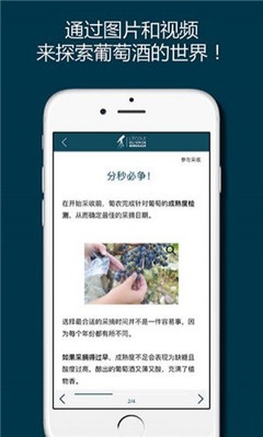 掌上波爾多