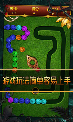叢林祖瑪