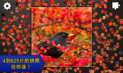 拼圖秘密花園