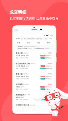 兔博士