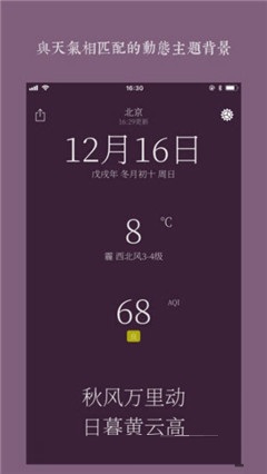 詩雨