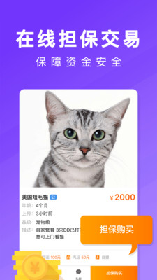 寵物市場(chǎng)截圖欣賞