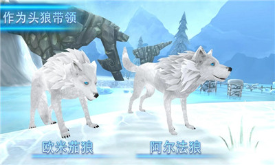 狼進(jìn)化論