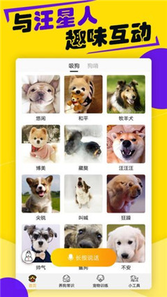 寵物年齡換算