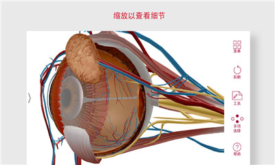 解剖和生理學(xué)截圖欣賞
