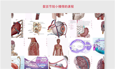 解剖和生理學(xué)