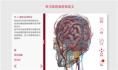 解剖和生理學(xué)截圖欣賞