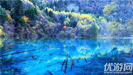 小鸡宝宝考考你，世界自然遗产九寨沟位于中国哪个省 蚂蚁庄园9.17答案