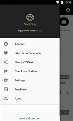 VidPaw