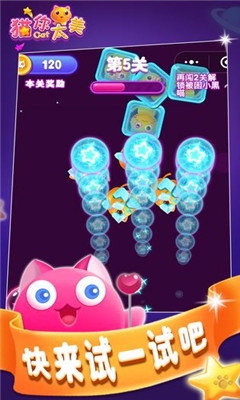 貓你太美截圖欣賞