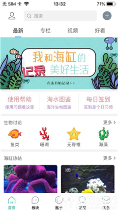 海精靈