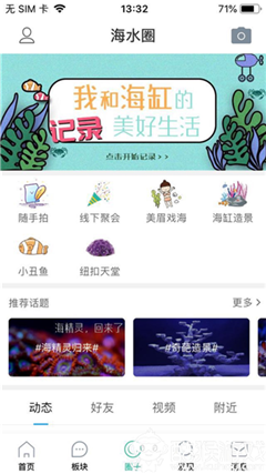 海精靈