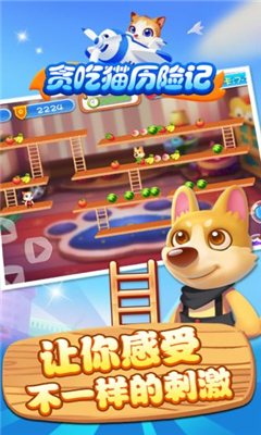 貪吃貓歷險記