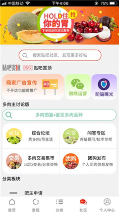 梔米