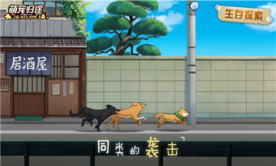 萌寵歸途截圖欣賞