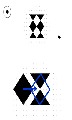 voi