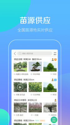 點(diǎn)花木