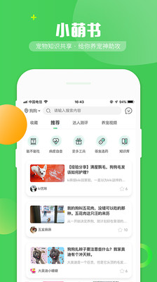 E寵截圖欣賞