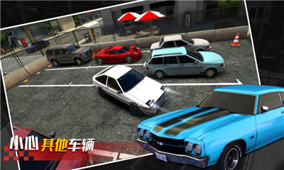 真實(shí)停車高手