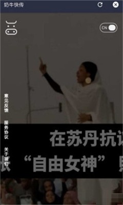 奶?？靷鹘貓D欣賞