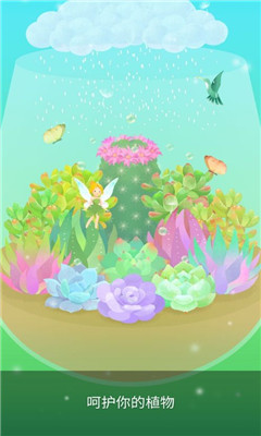 我的水晶花園