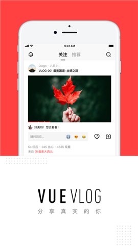 VUE截圖欣賞