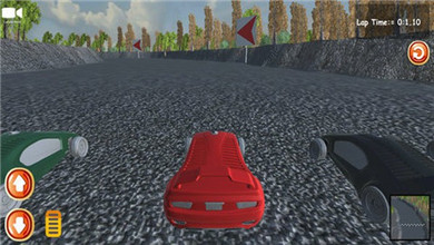 公路賽車駕駛