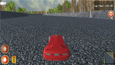 公路賽車駕駛