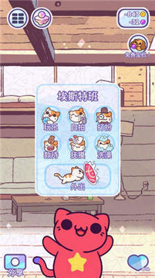 小偷貓金幣