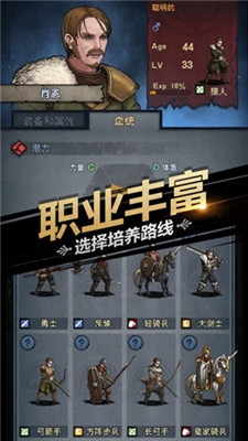 諸神皇冠百年騎士團