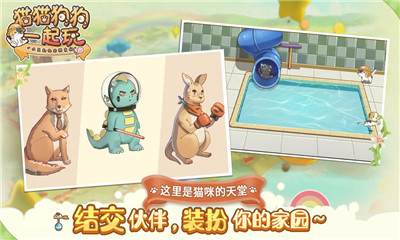 貓貓狗狗一起玩截圖欣賞