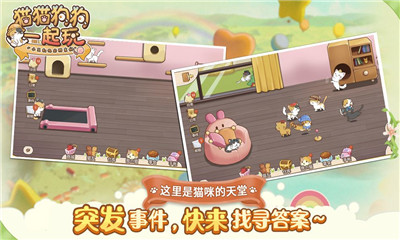 貓貓狗狗一起玩截圖欣賞