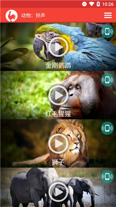 動(dòng)物鈴聲