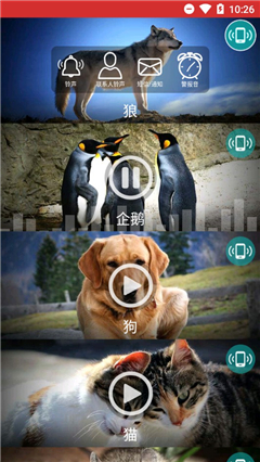 動(dòng)物鈴聲