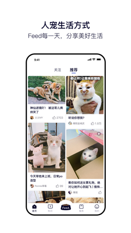 Feed