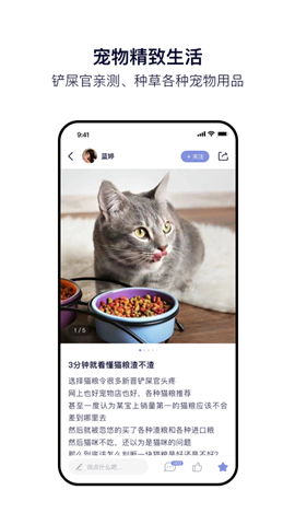 Feed