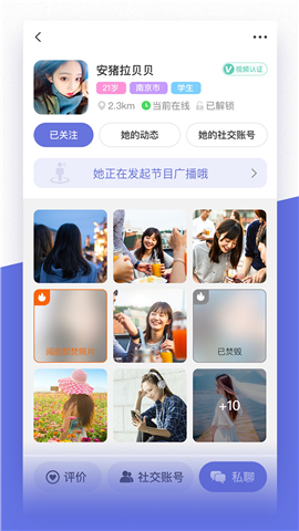 貓咪街區(qū)截圖欣賞