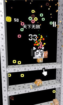二哈下樓記