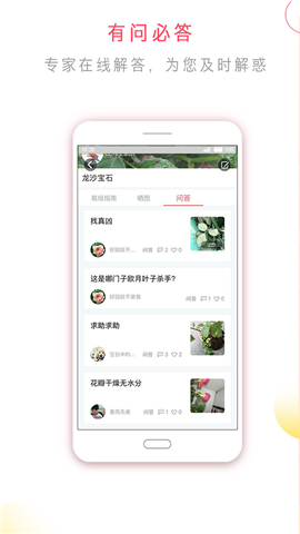 花信截圖欣賞