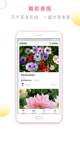 花信