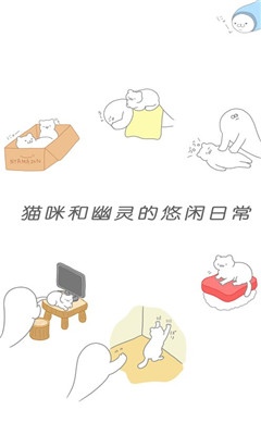 貓咪怎么這么懶
