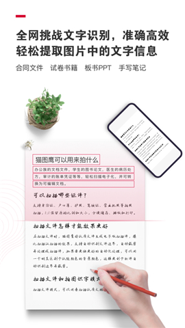 貓圖鷹