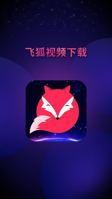 飛狐視頻下載器