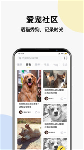 寵可可