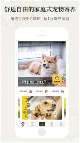 小狗在家截圖欣賞